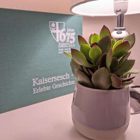 Ferienwohnung Am Waldweg Kaisersesch エクステリア 写真
