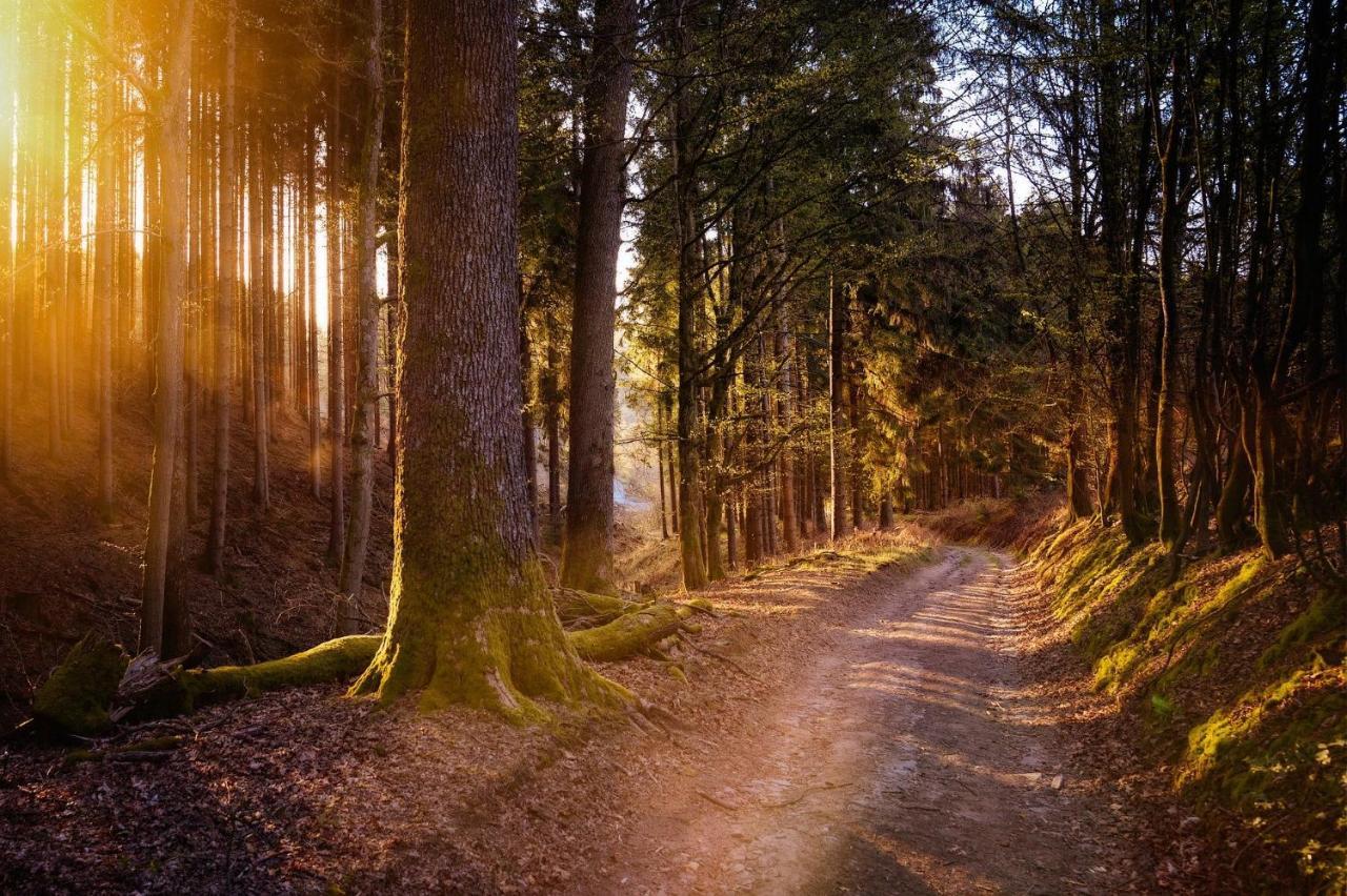 Ferienwohnung Am Waldweg Kaisersesch エクステリア 写真